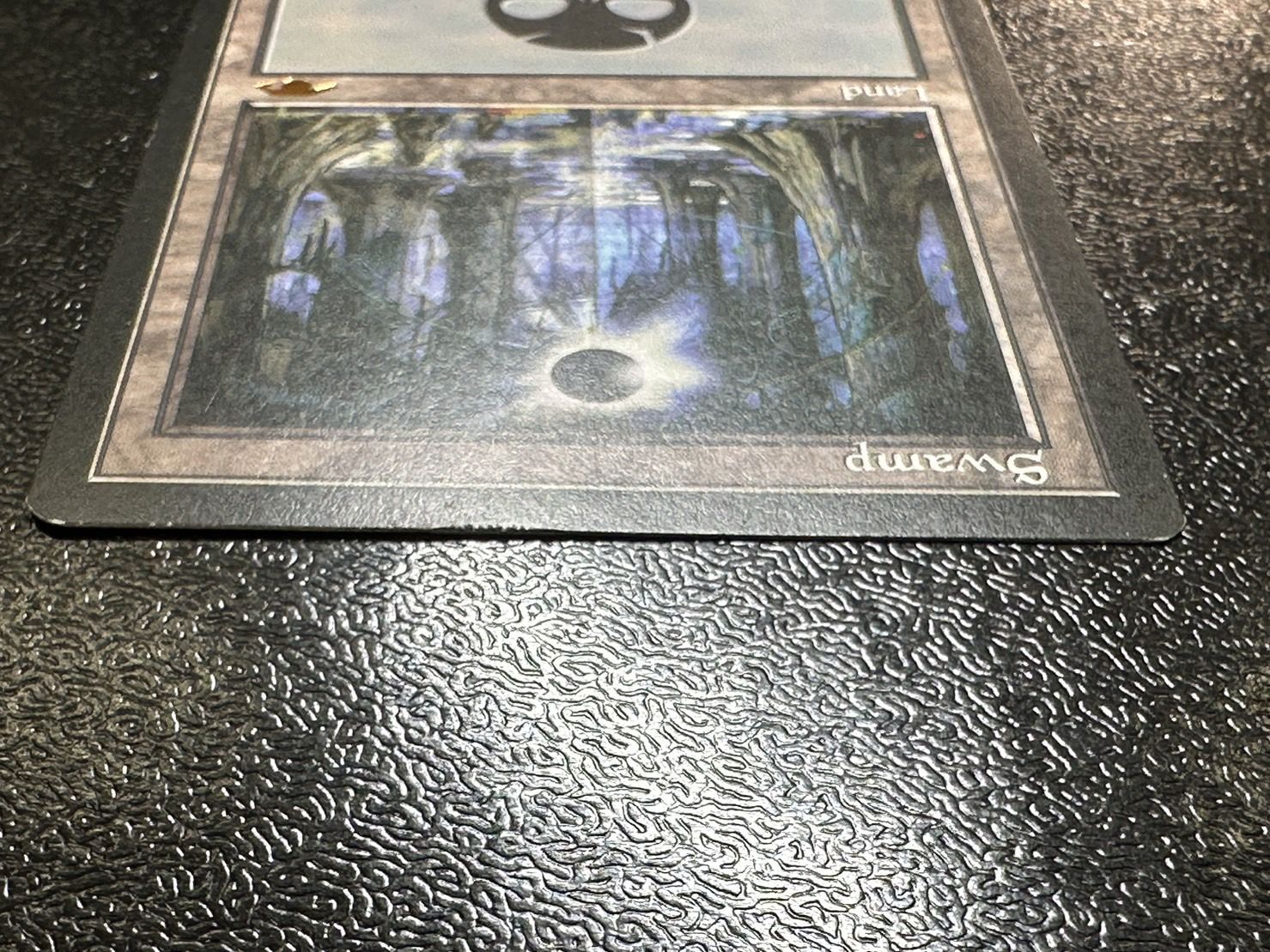 PLD]沼/Swamp《英語》【Guru Lands】#90