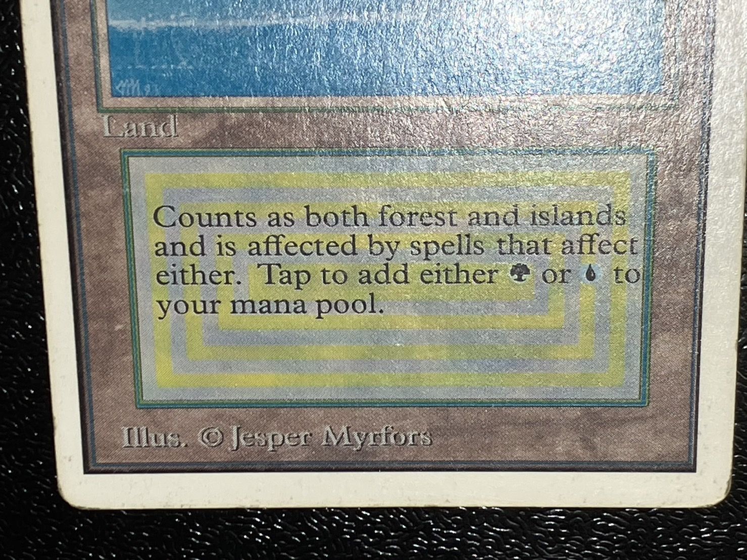 HPLD]Tropical Island《英語》【2ED】#118