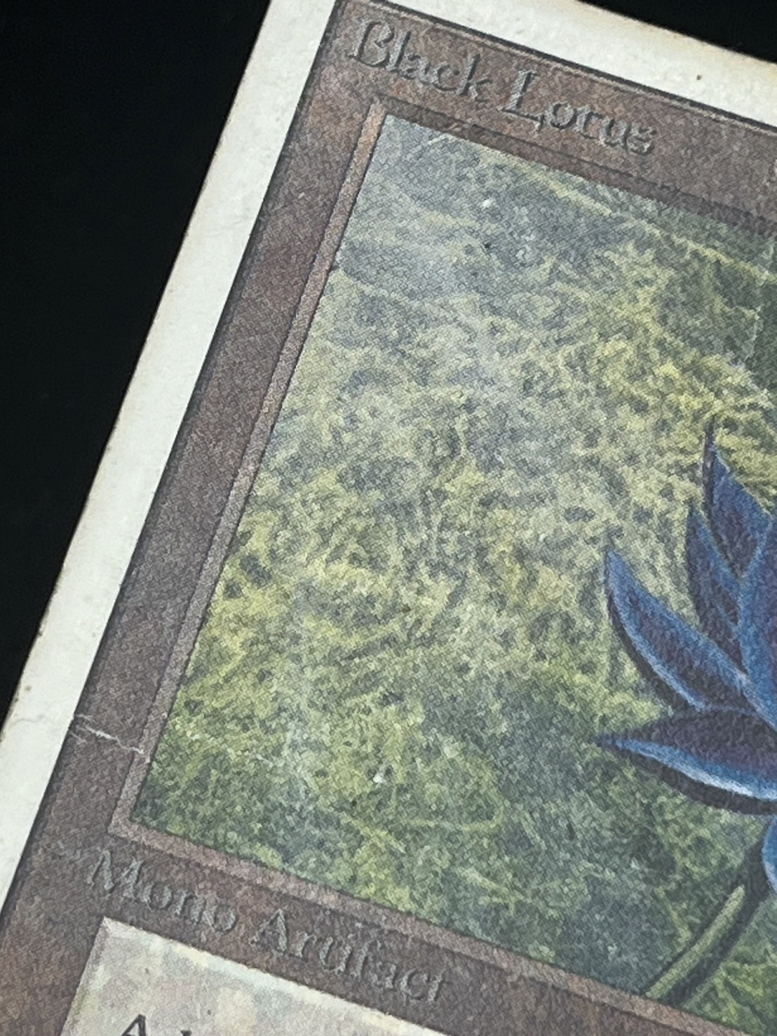 POOR+Ink]Black Lotus《英語》【2ED】#229 - カードラッシュ[MTG]