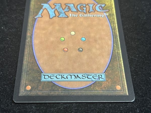 EX+]島/Island《英語》【Guru Lands】#43