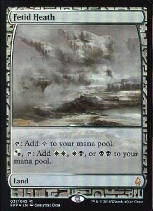 FOIL)悪臭の荒野/Fetid Heath《英語》【EXP】