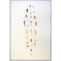 亀山 知英 | ARTE ANELLO作品一覧