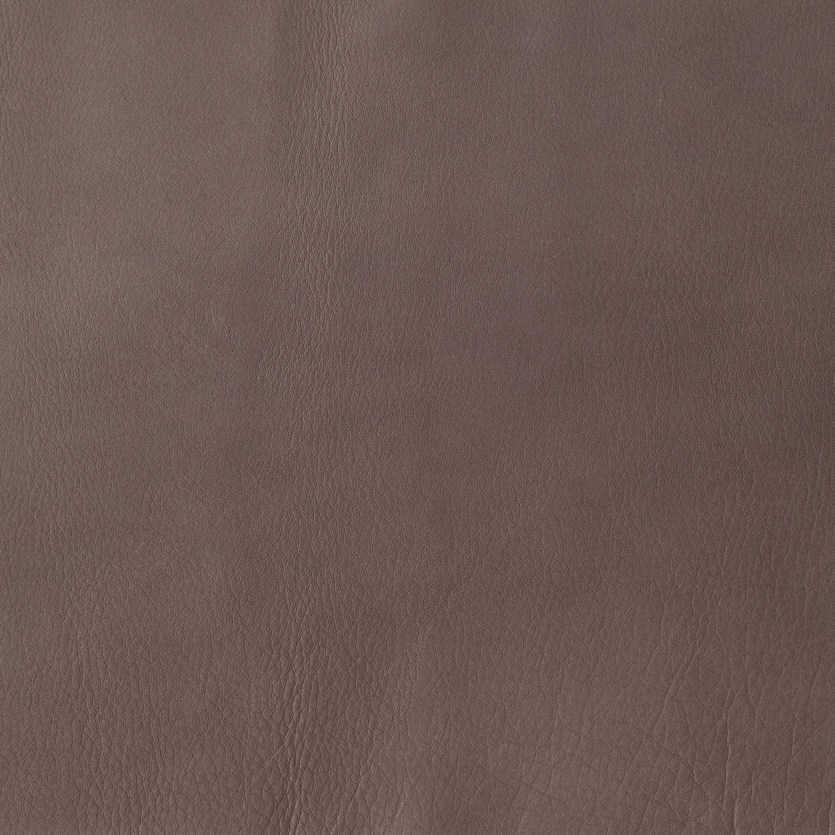 NATURALE ZZ | サンプル