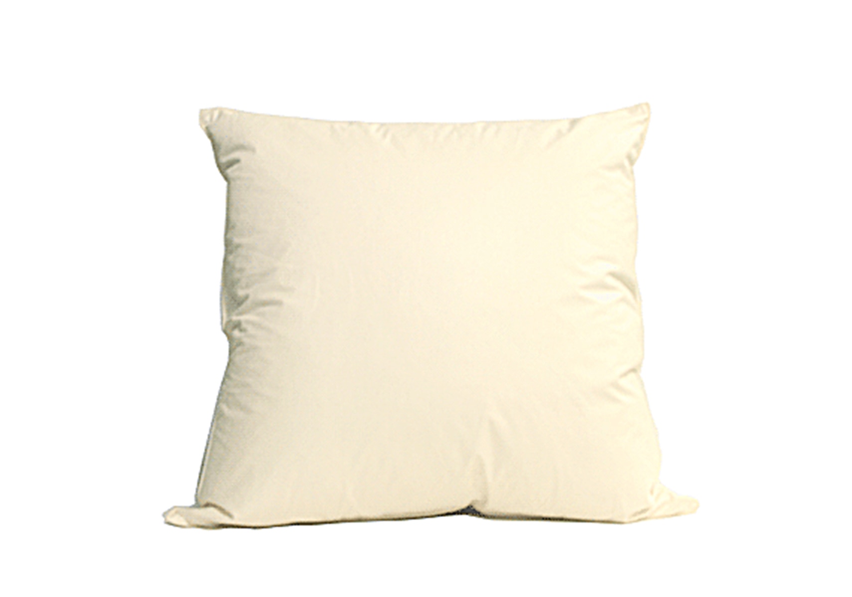 IXC (イクスシー) イクスシークッション・ヌード(中材) フェザー100