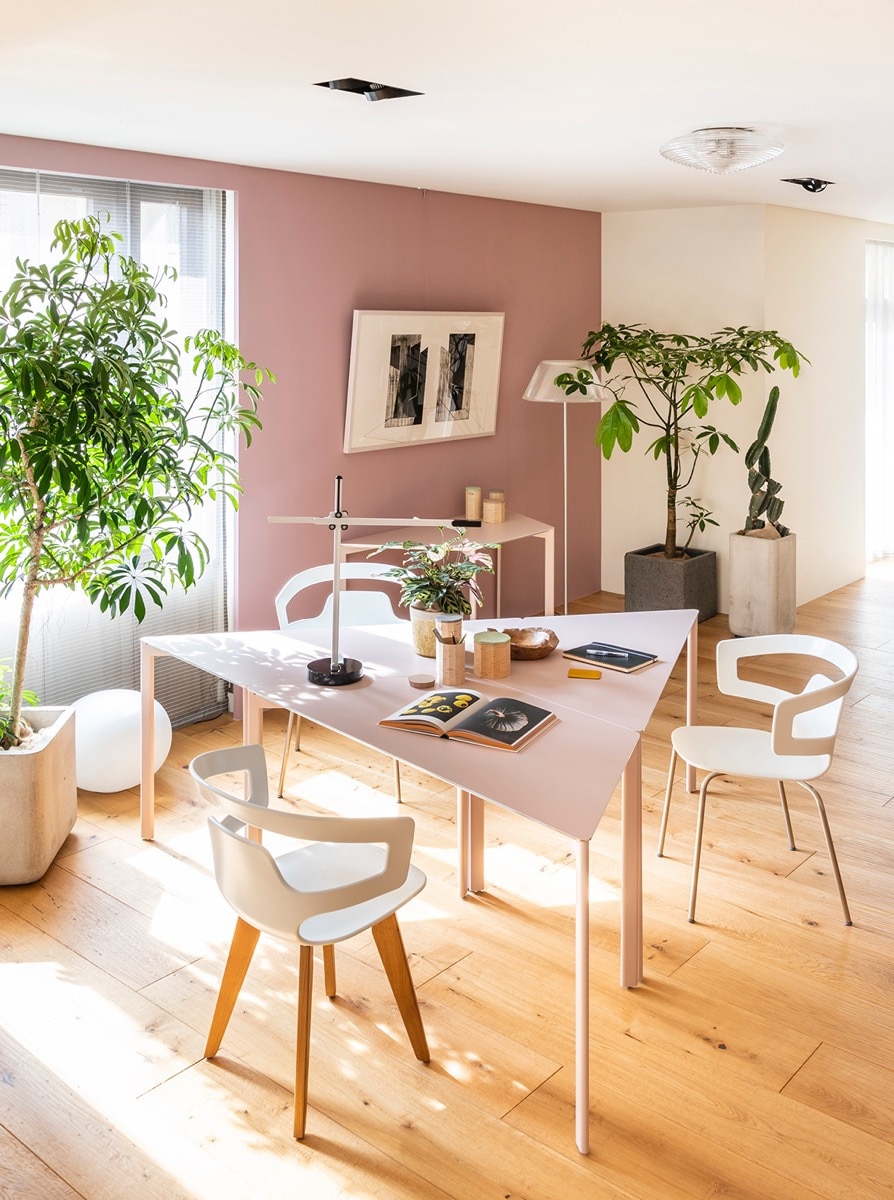 SEGESTA WOOD(セジェスタウッド558 アームチェア) Alias | カッシーナ