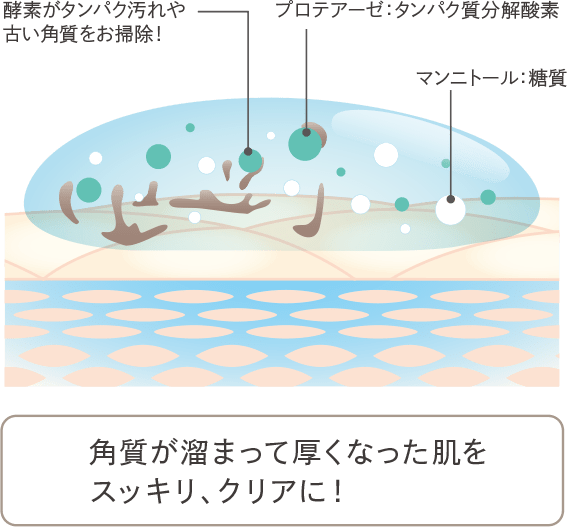 フェイシャリスト ファーメントパウダーa│【公式】シーボン（C'BON