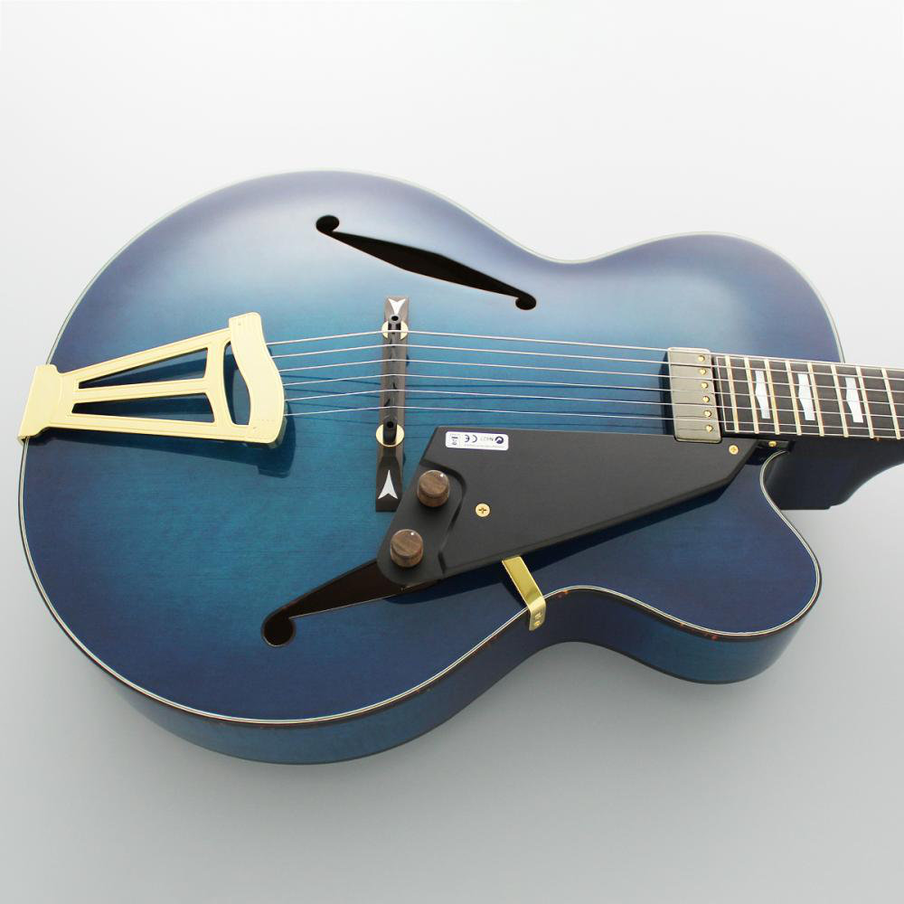 FUJIGEN MFA-FP/BBT Masterfield MFA フルアコギター(フジゲン