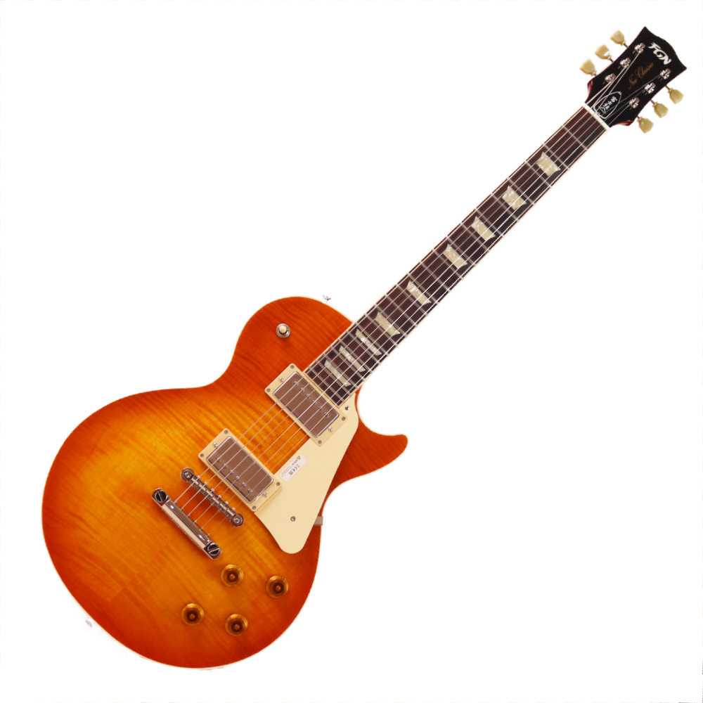 フジゲン エレキギター FUJIGEN FGN NLS200RFM FCB 01 Neo Classic