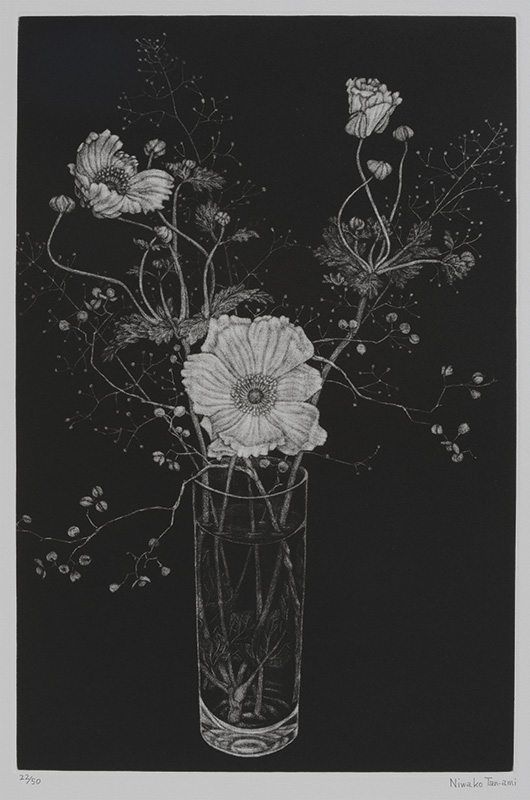 時のきらめき 丹阿弥丹波子 銅版画展 | 茅ヶ崎市美術館