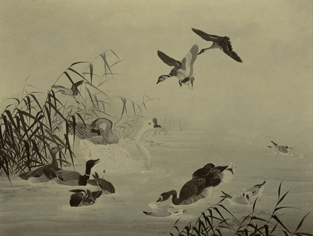 景年花鳥画譜』を求めた時代 - 千總 (日本語)