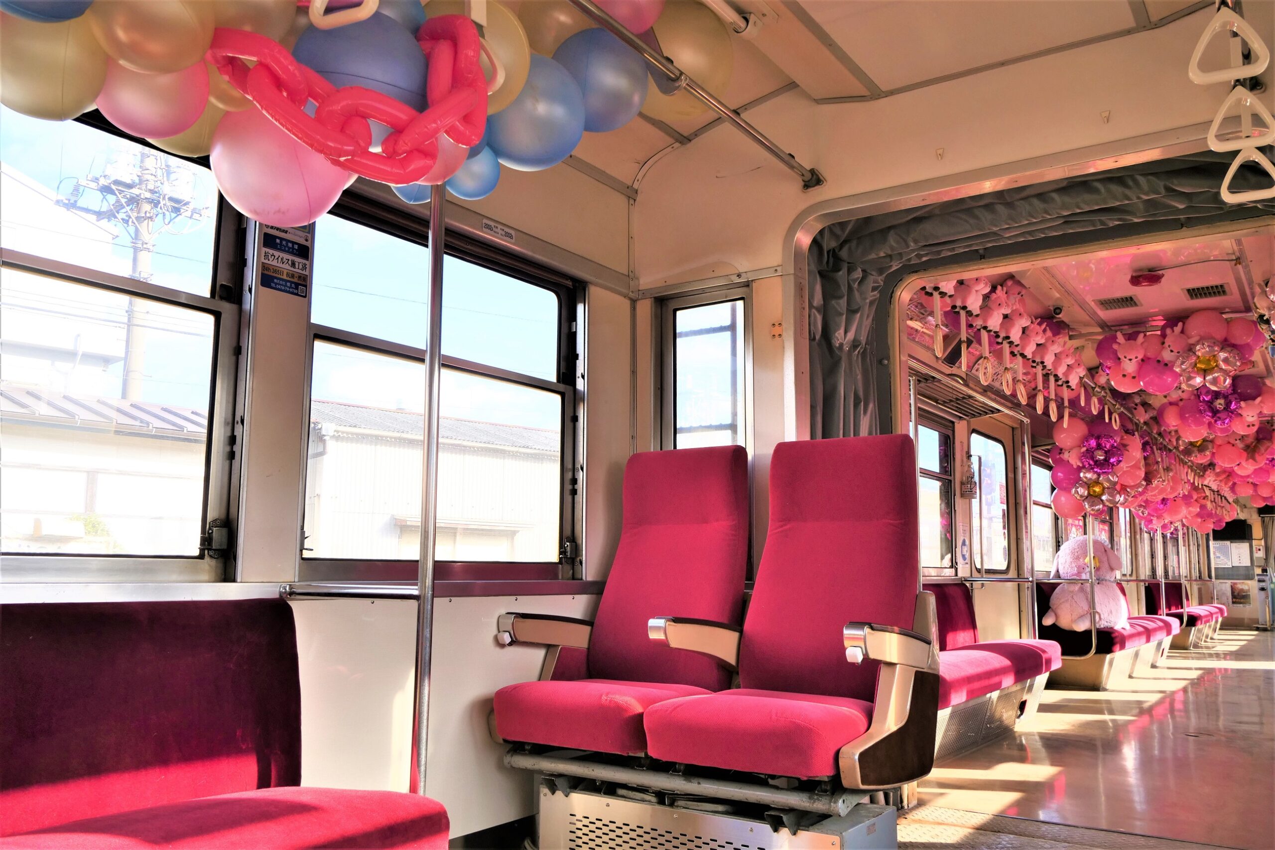 11/19(土)より ニュー315ピンクニュージンジャー号 運行開始！＆きゃ
