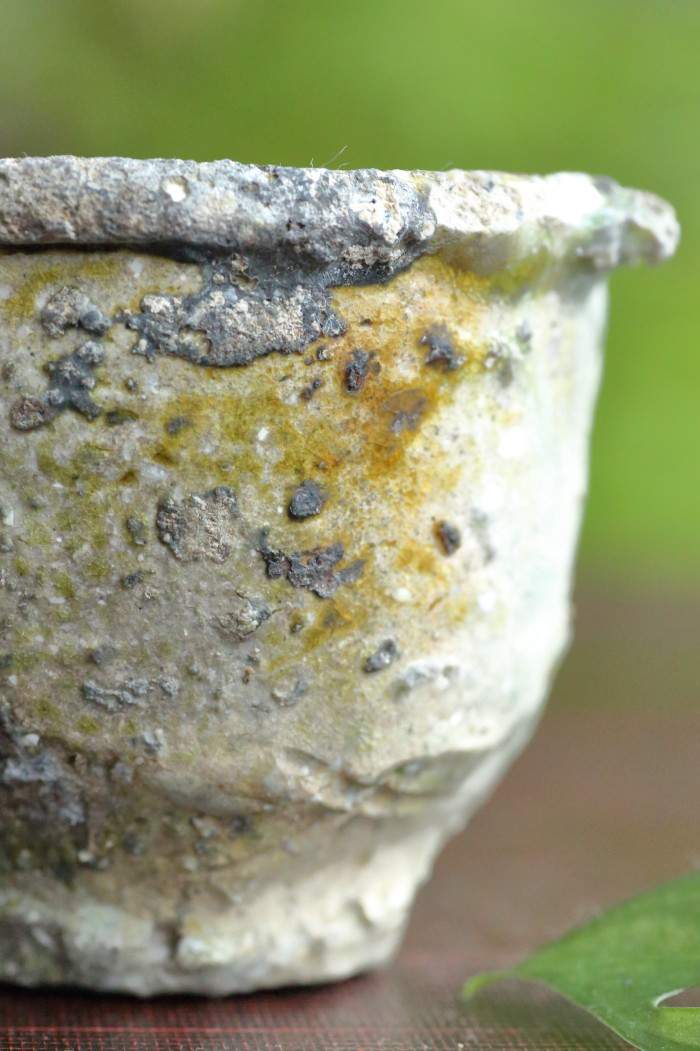 谷本貴 伊賀ぐいのみ 満容量150ml 大きめのぐい吞み 穴窯焼成焼締め