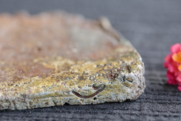 森本良信 備前角皿 和食器 銘々皿 穴窯焼成陶プレート 備前焼小皿 四角皿