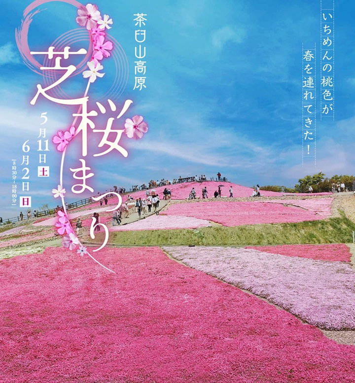 公式】 2024年 茶臼山高原 芝桜まつり