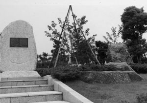 五色桜と中川堤の桜｜足立区