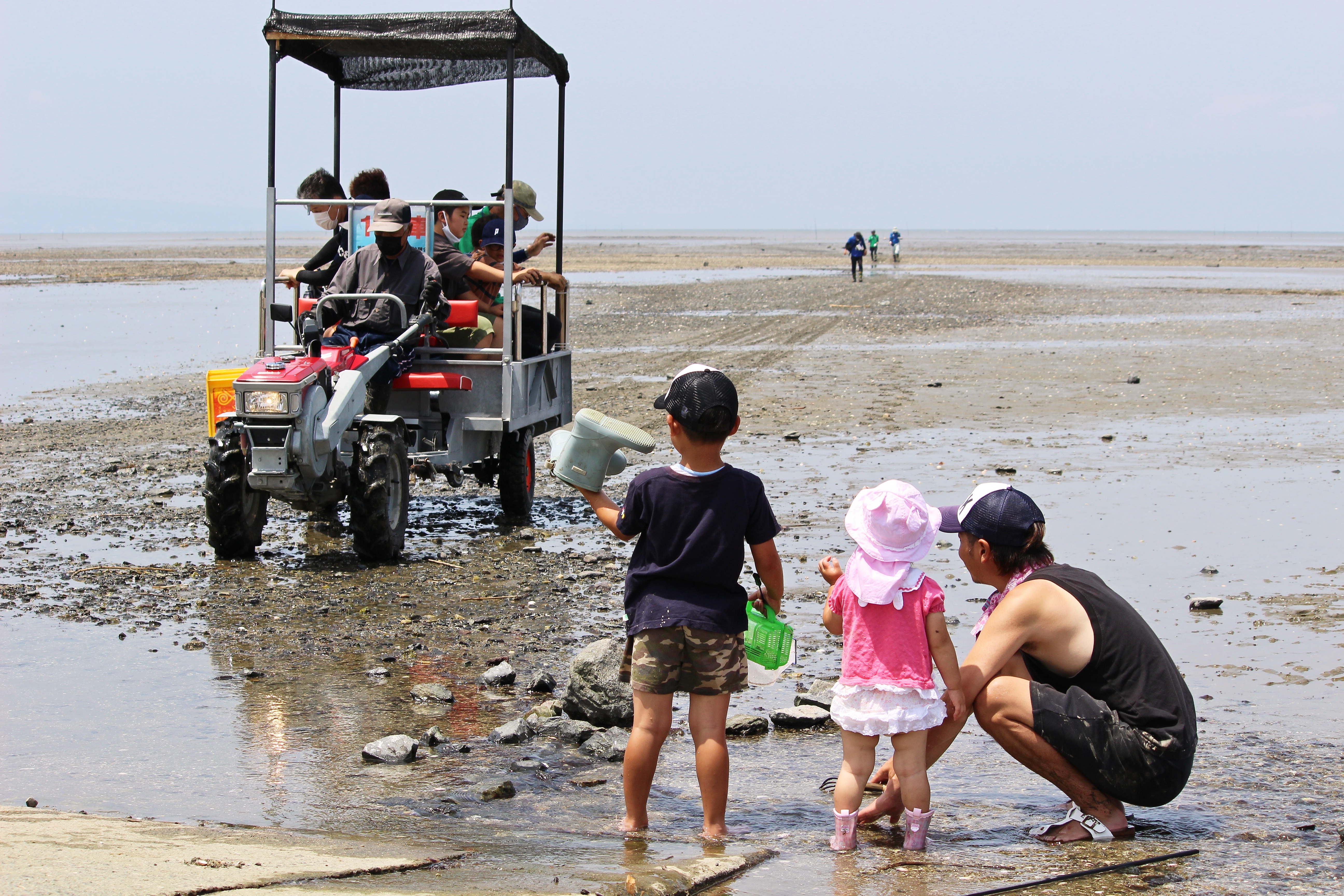 荒尾干潟水鳥・湿地センター開館5周年記念」写真コンクールの審査結果