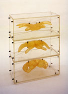 大分市美術館／【現代美術】吉村益信の作品