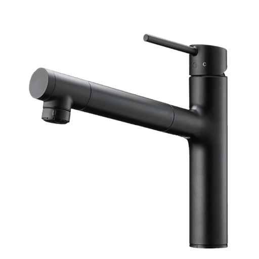 タカギ LS106BN-NNTN 蛇口一体型浄水器 シングルレバー混合栓（ワン