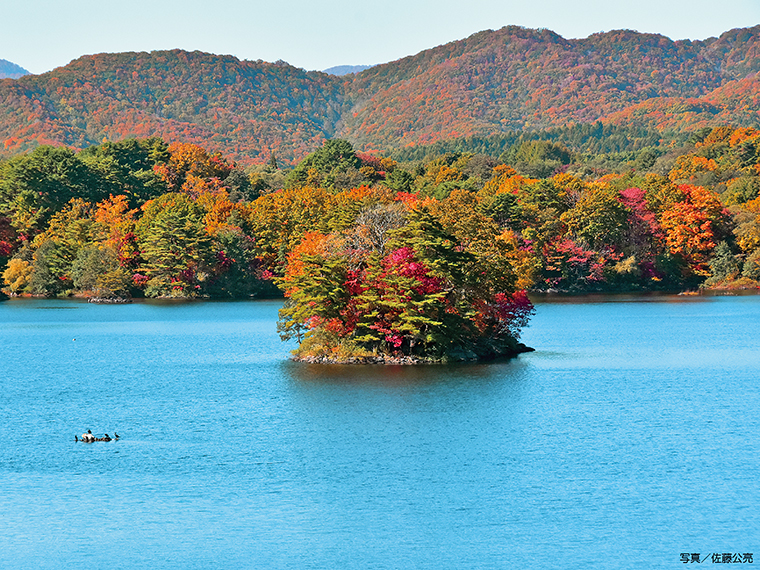 福島県】猪苗代・裏磐梯エリアの紅葉＆花スポットと立ち寄りグルメ