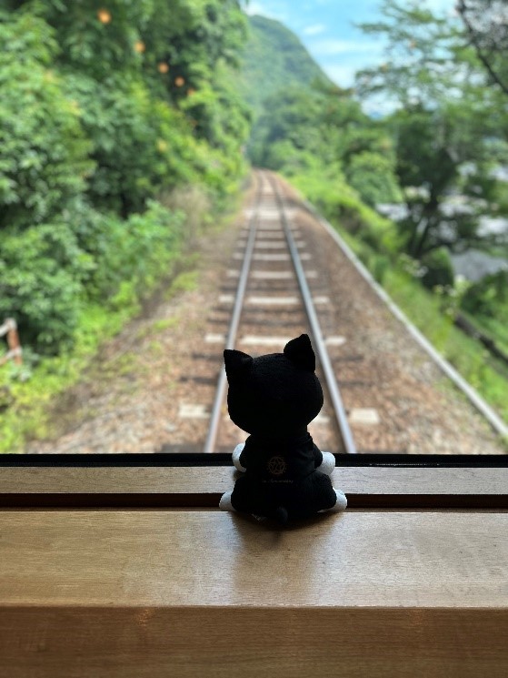 10月 ｜ 2024 ｜ クルーズトレイン「ななつ星in九州」｜JR九州