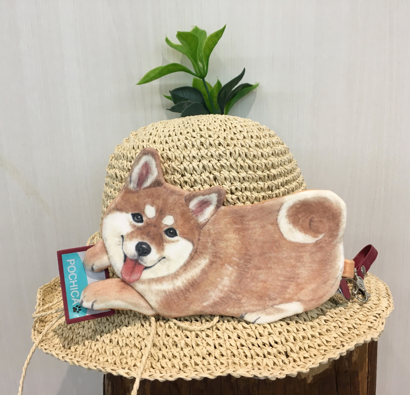 柴犬のパスケース | ボーンズ | クリスタ長堀