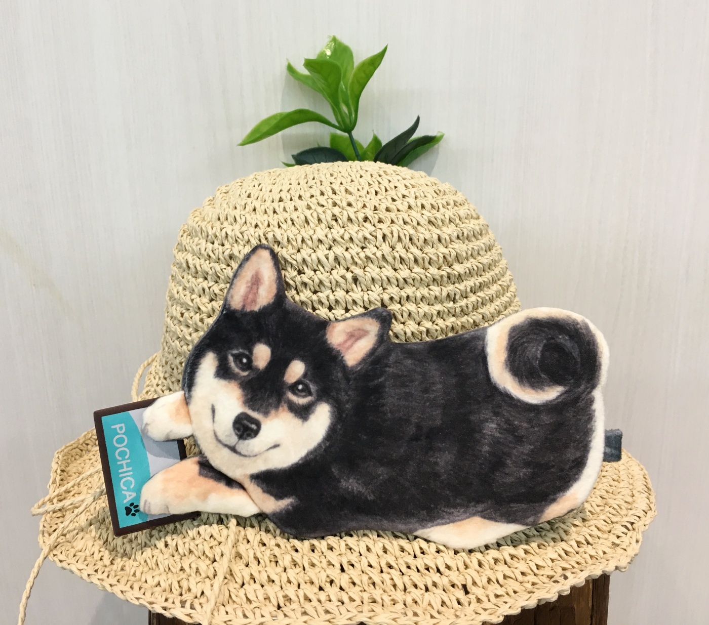 柴犬のパスケース | ボーンズ | クリスタ長堀