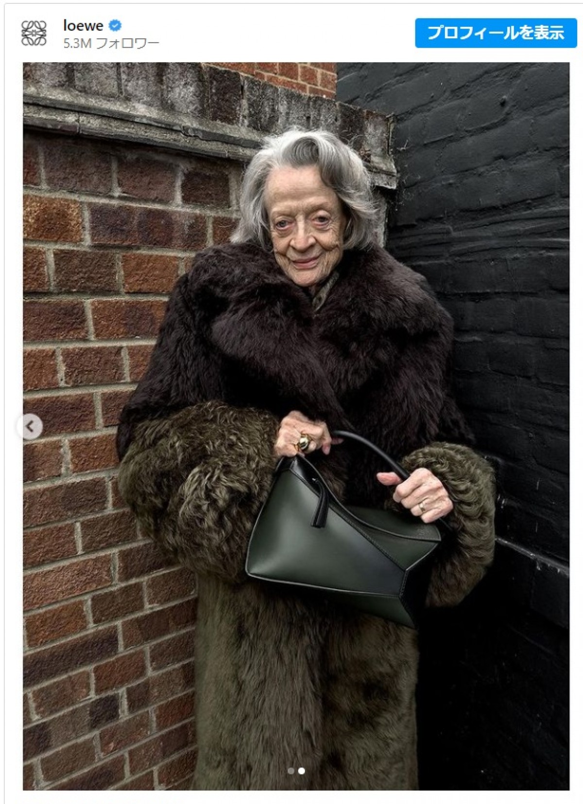 ハリポタ』マクゴナガル先生マギー・スミス、ロエベの顔へ - セレブ