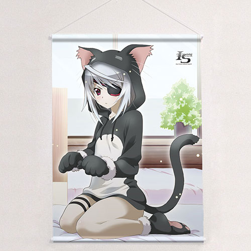 IS＜インフィニット・ストラトス＞