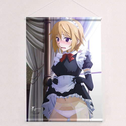 IS＜インフィニット・ストラトス＞