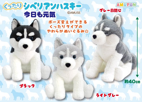 ≪11月の新商品≫くったりシベリアンハスキー今日も元気☆アミューズ