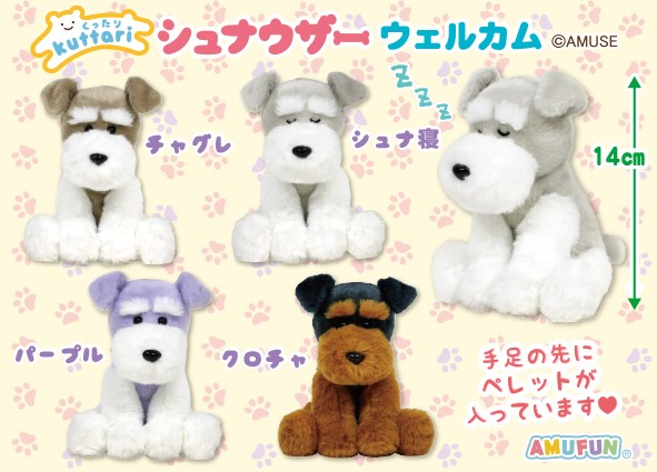 ≪7月の新商品≫くったりシュナウザーウェルカム☆アミューズプライズ