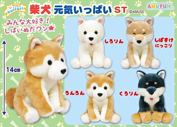 ≪8月の新商品≫くったり柴犬元気いっぱい-NEW ITEM！｜アミューズ最新情報