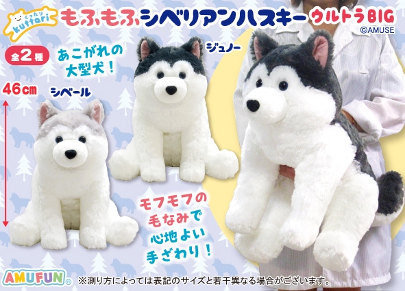 ≪12月の新商品≫くったりもふもふシベリアンハスキー -NEW ITEM