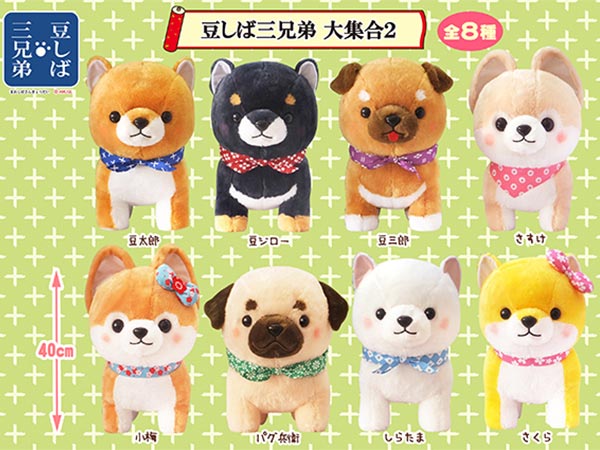 ≪7~8月の新商品≫アミューズプライズーNEW ITEM！ PART1｜アミューズ