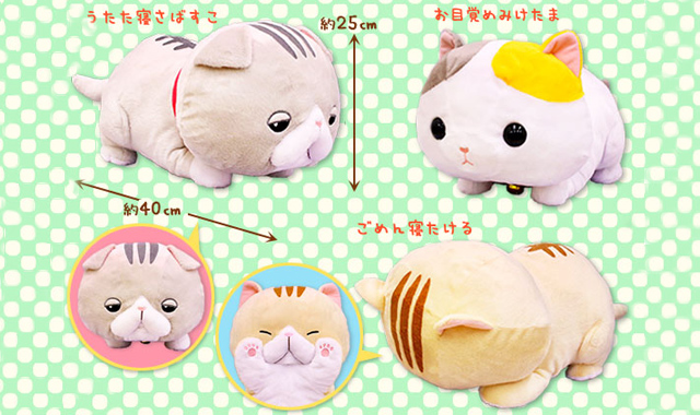 6月新商品》うたた寝マンチカン｜アミューズ最新情報