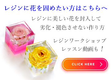 初心者でも簡単】新しいドライフラワーの作り方はシリカゲルよりきれい！