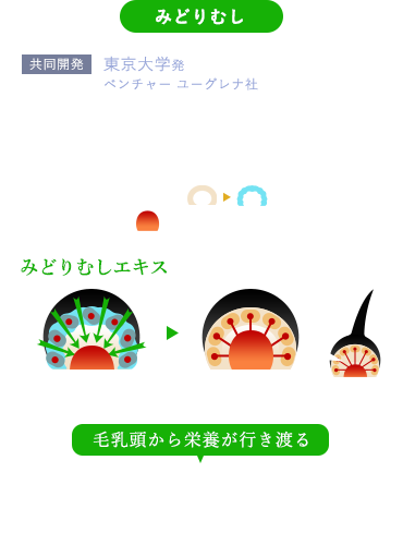 リ;モウケア（スカルプローション） | 株式会社アンテナ