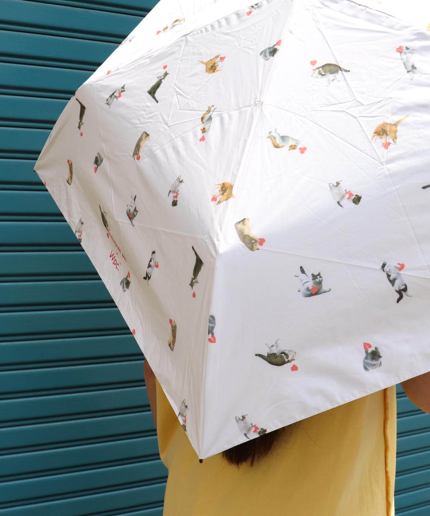 沖昌之×Wpc.】≪晴雨兼用＆遮光≫超軽量アンブレニャンmini | AND ON