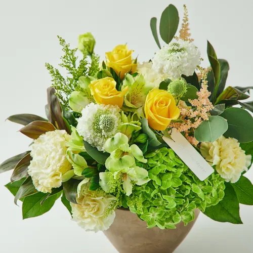 3/1～4/30到着】麗らかな春の訪れを感じる、爽やかでエレガントな