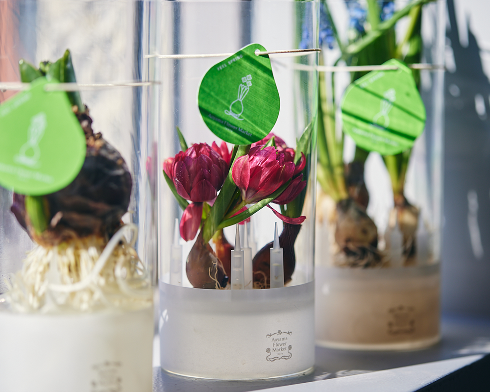 季節を愉しむ｜球根花を飾りたくなるアイデア、集めました | 青山