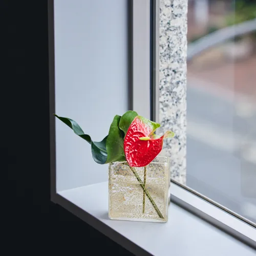 Henry Dean(ヘンリーディーン)/Square XS ビジュー | 青山フラワー