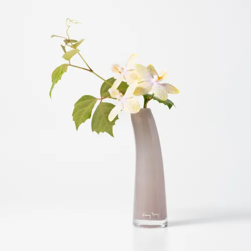 Henry Dean(ヘンリーディーン)/Grass S ゼフィーロ | 青山フラワー