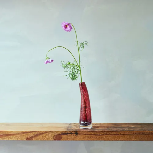 Henry Dean(ヘンリーディーン)/Grass S ガーネット | 青山フラワー