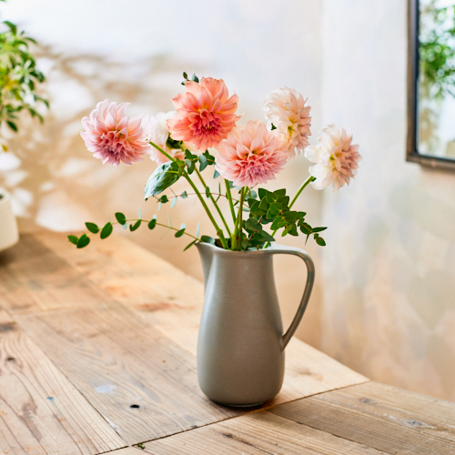 かもしか道具店/ピッチャーL グレー | 青山フラワーマーケット｜花束