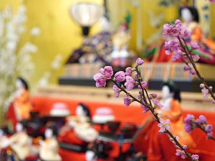 桃の節句に桃は咲いていない？ひな祭りに飾る理由や種類など | 青山花