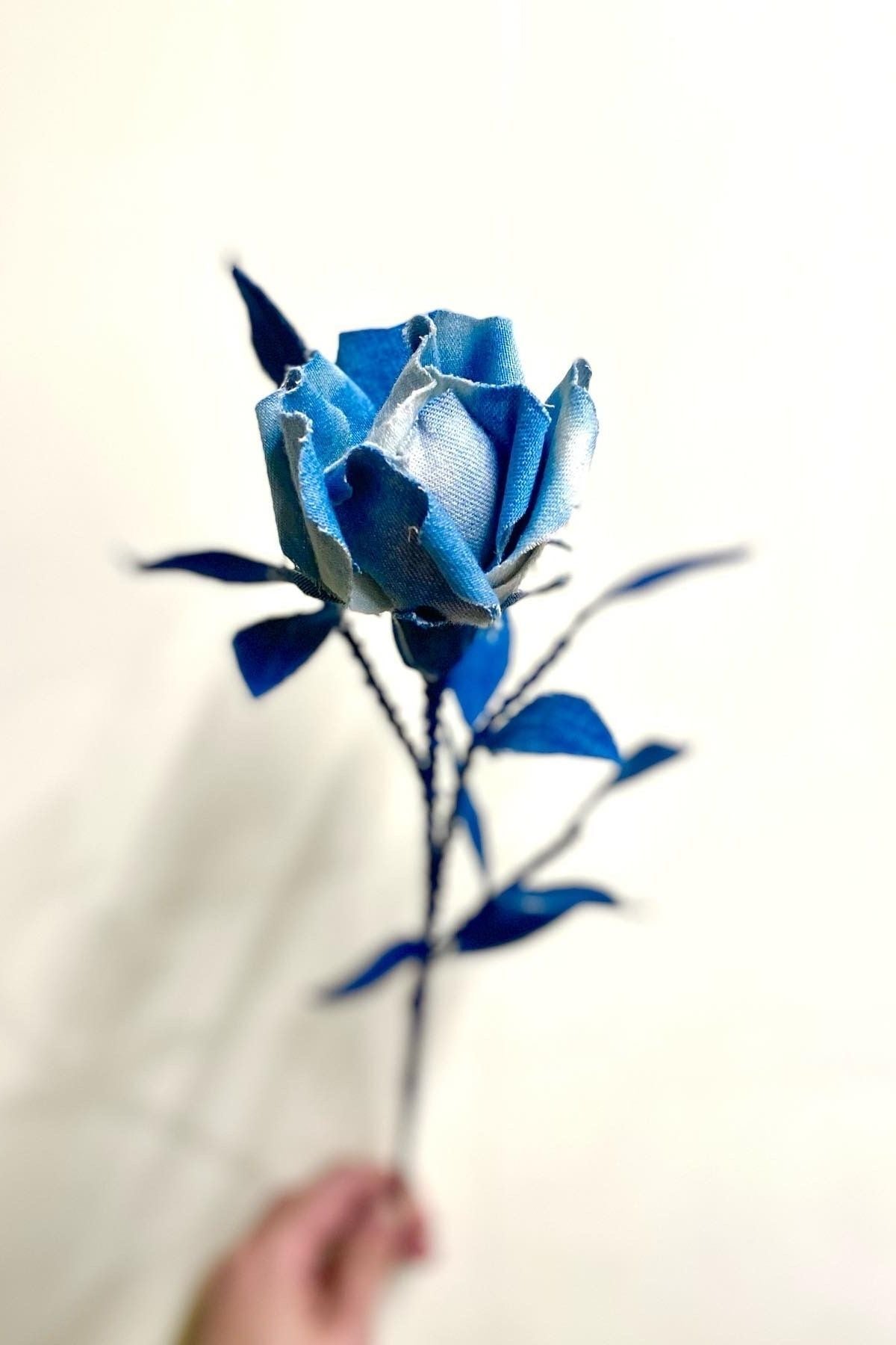 先着100名限定】映画「BLUE ROSE」特別試写会のご案内 | EVENT | 青木