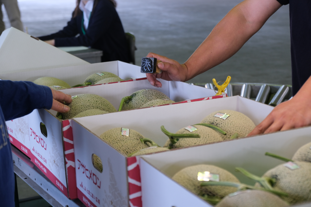 安平町の特産品「アサヒメロン」を商品化 〜道の駅オリジナルの商品