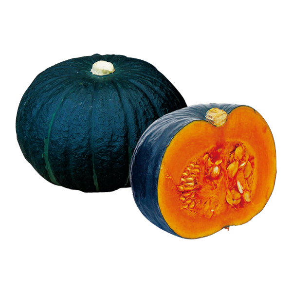 株式会社ホームセンターアグロ | ホクホク特濃かぼちゃ