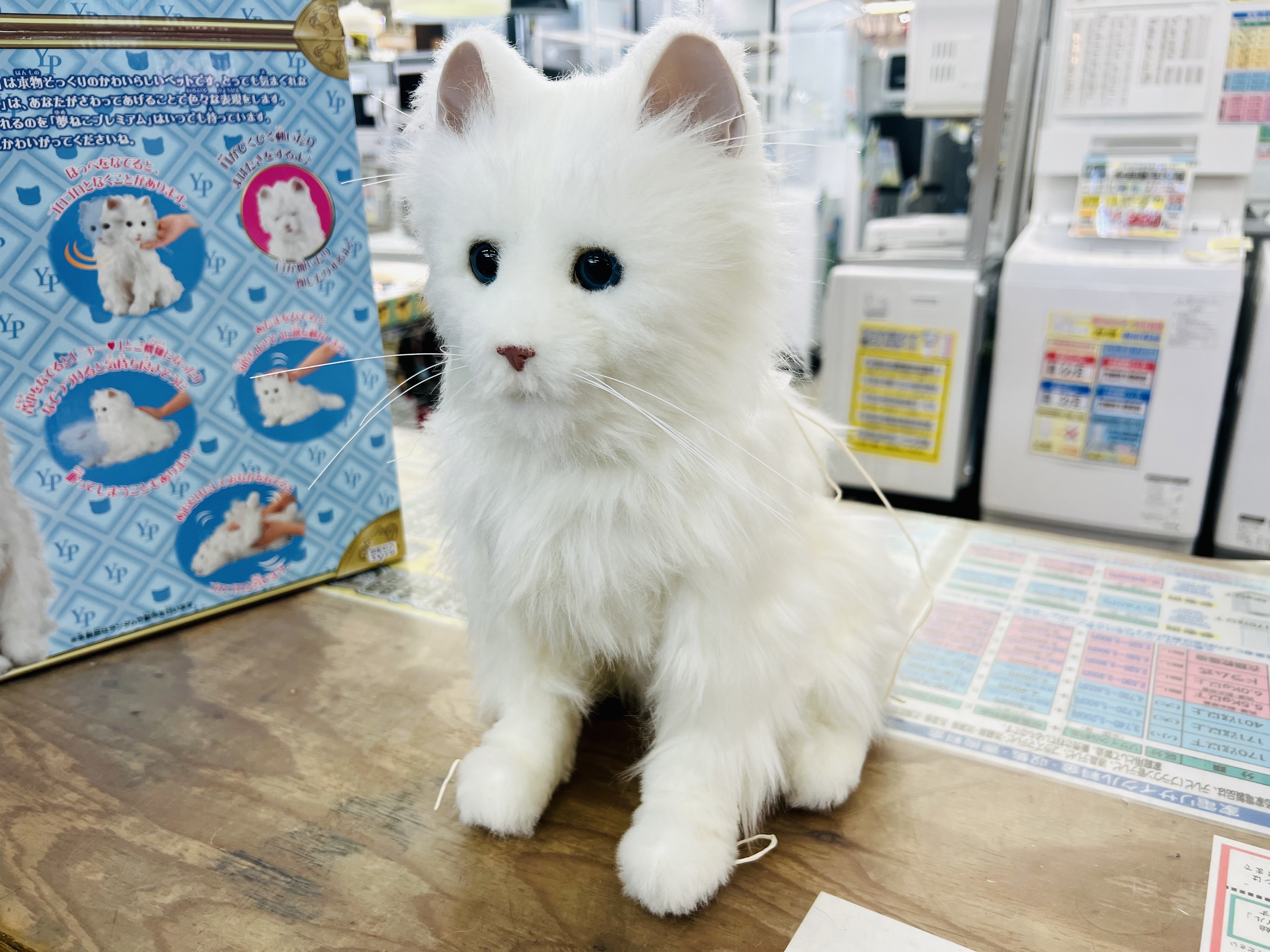 夢ねこ セガトイズ セガトイズ⁄夢ねこヴィーナス⁄white⁄ホワイト
