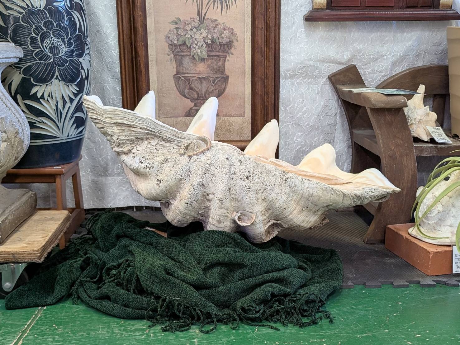 置物 片面 シャコガイ 貝殻 全長約76cmを買取させて頂きました！【愛品